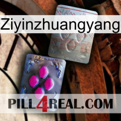 Ziyinzhuangyang 38